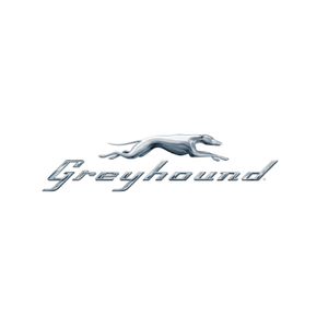 Greyhound