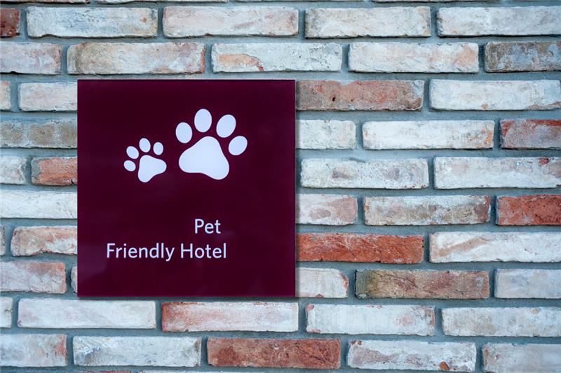 Pet-Friendly Hotels in Norway That Welcome Dogs and Provide Pet Amenities