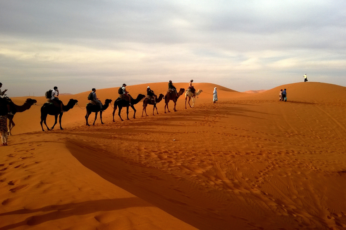 Desert Safari Adventures You Should Try at Least Once in Life