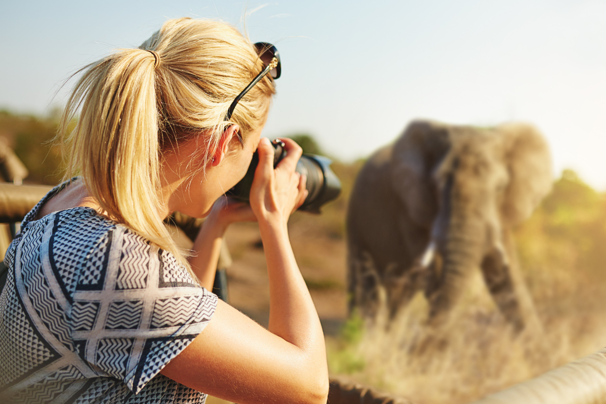 How to Capture Wildlife on Safari Without Disturbing the Animals