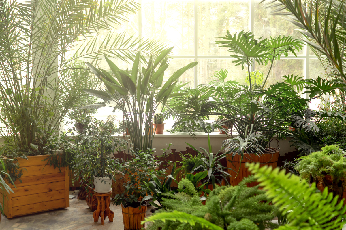 Best Garden Plants to Buy Online Now Before Seasonal Stocks Run Out
