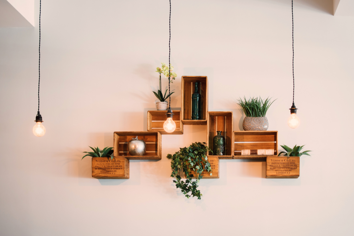 Create Green Walls with These Stunning Climbing Plant Varieties