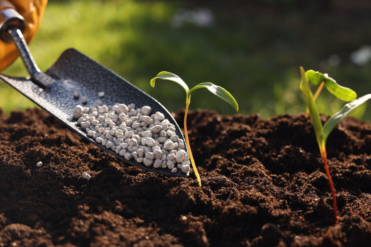 Organic fertilizers for Healthier Soil and More Resilient Plants