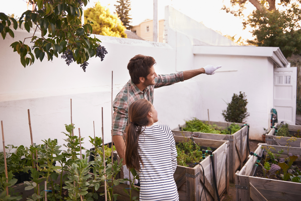 Plant Care Tips Every Home Gardener Should Know