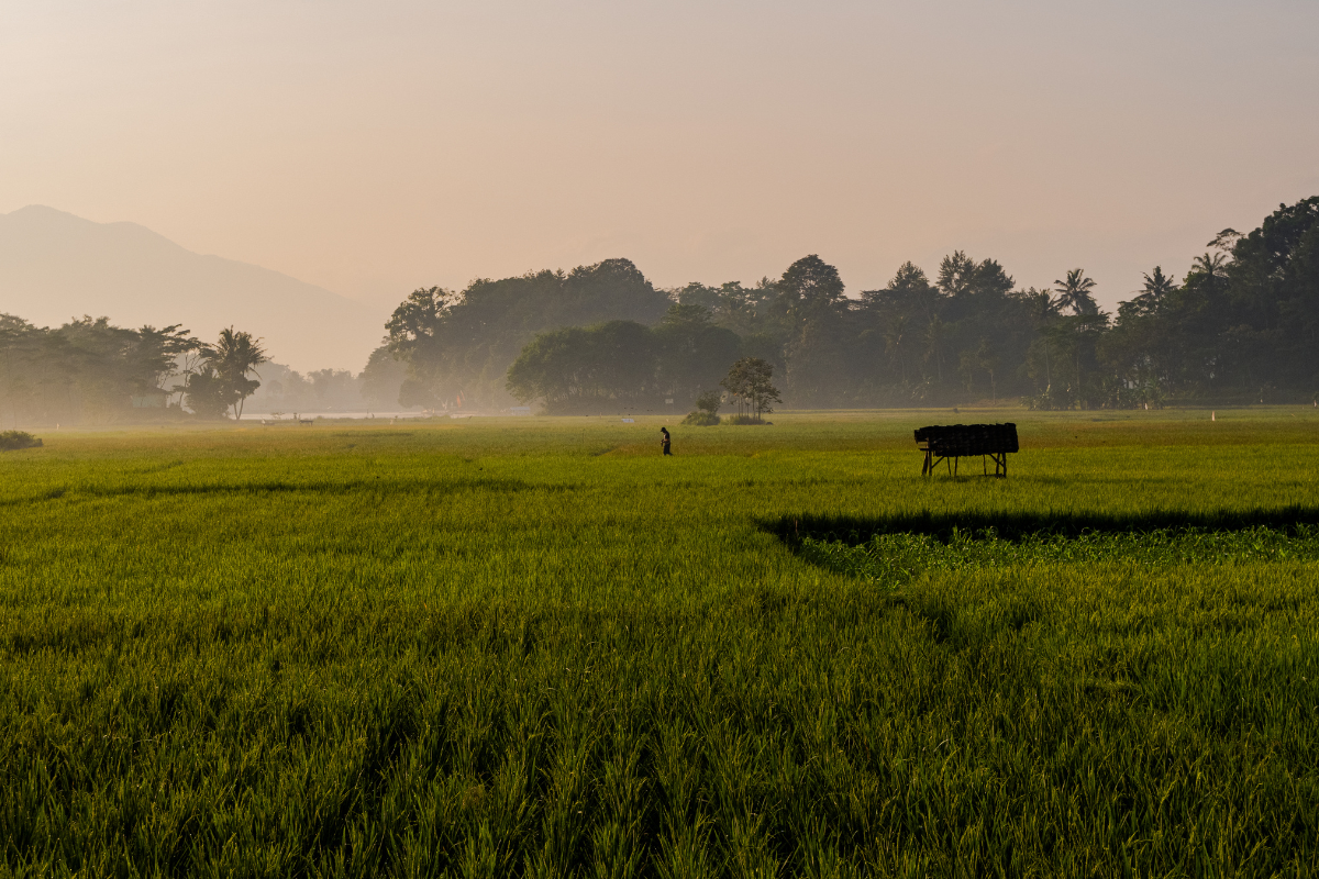 Top 10 Best Countries in Asia To Visit—For Every Type of Traveller