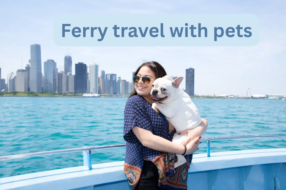 Traveling with Pets on a Ferry: Essential Tips and Guidelines