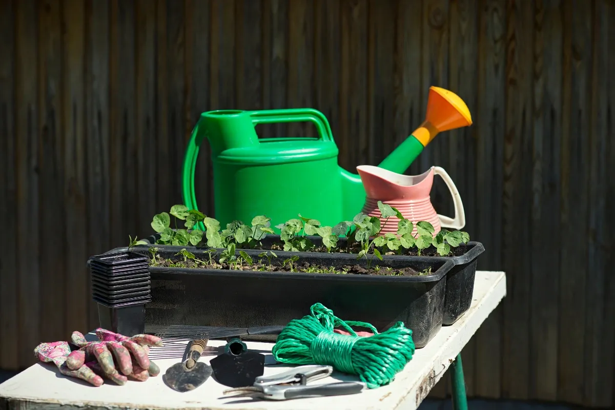 Équipements de jardin et produits d'extérieur les mieux notés qui valent l'achat