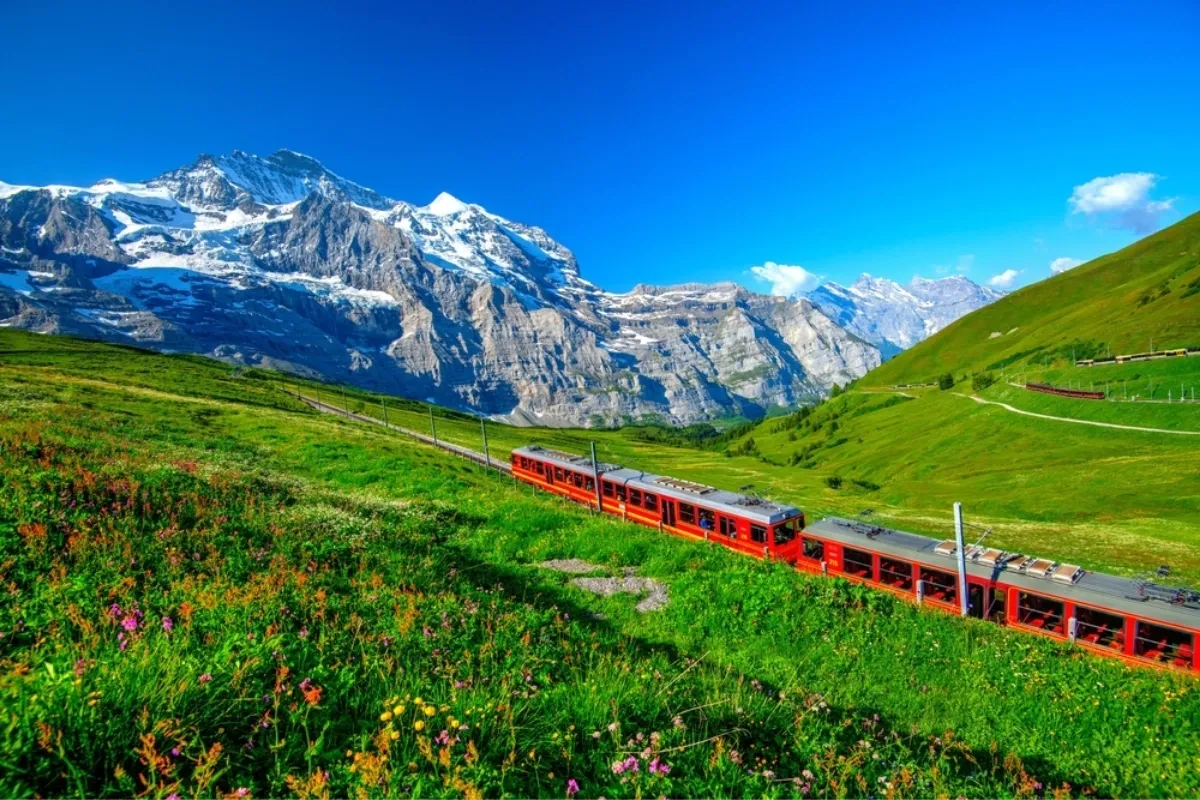 Paris to Brussels by Train: Complete Travel Guide for First-Time Visitors
