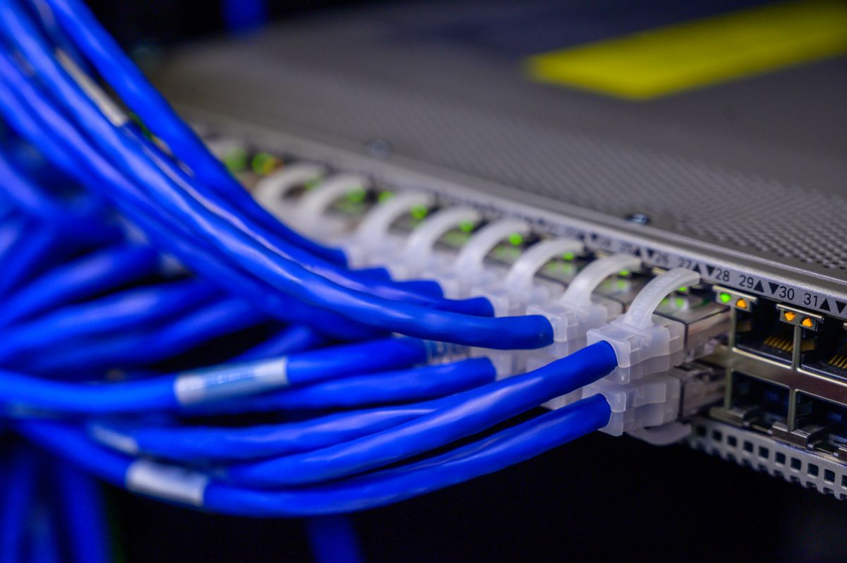 Network cables plugged into a switch