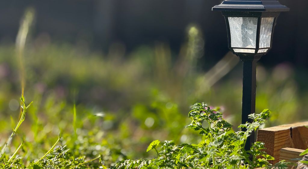 Close up of a single solar stake light in grass
