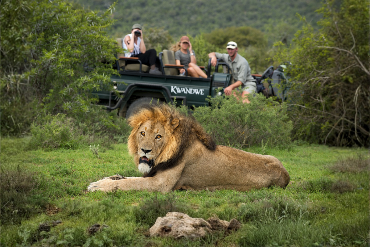 Wildurlaube mit Safarifahrten und Naturschutz-Erlebnissen