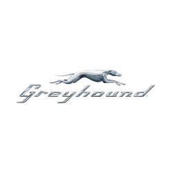 Greyhound